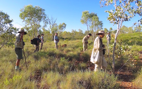 Carpentarian Grasswren surveys in the NT